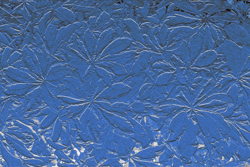 Margaret-V-Variegated-leaves-in-Blue-Bas-Relief.jpg