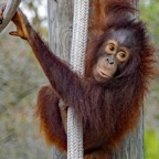 Margaret-March-003.jpg