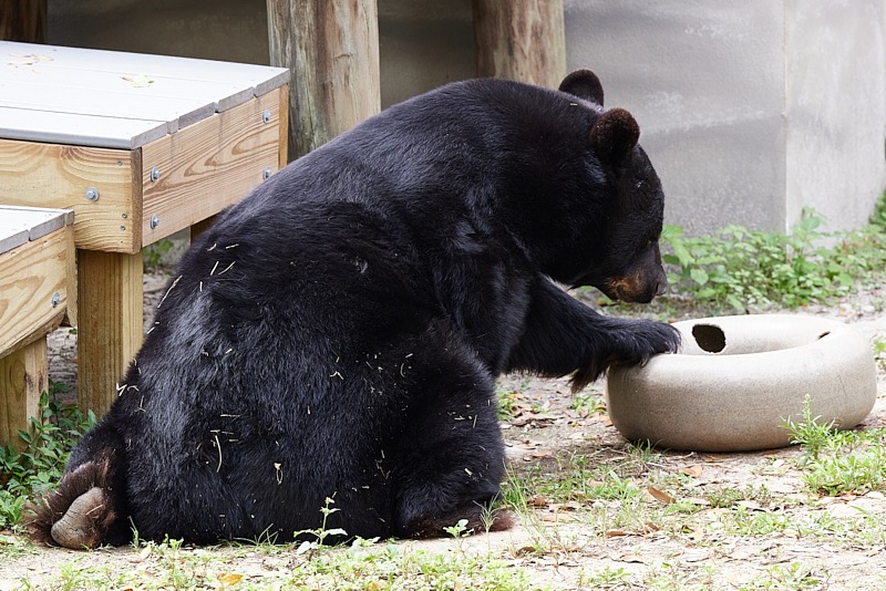 David-March-Zoo-071.jpg