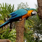Bob-May-002.jpg