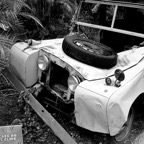 Bob-May-019.jpg