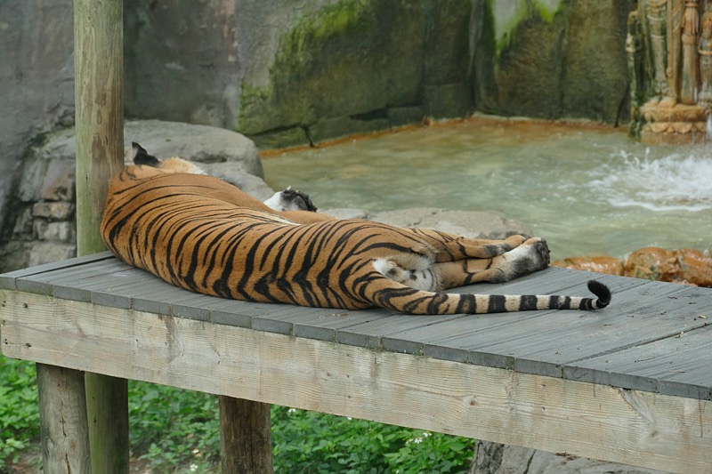 Judy-May-010.jpg