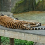Judy-May-010.jpg