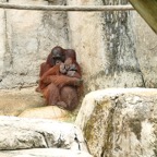 Judy-May-011.jpg