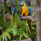 Ron-May-002.jpg