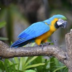 Ron-May-004.jpg