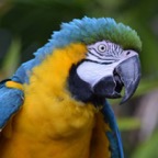 Ron-May-006.jpg