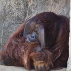 Ron-May-009.jpg