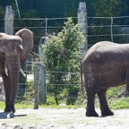 Ron-May-028.jpg