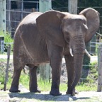 Ron-May-029.jpg