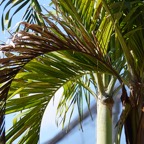 Ron-May-031.jpg