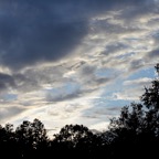 Bob-September-010.jpg