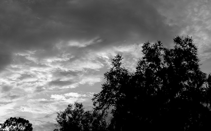 Bob-September-011.jpg
