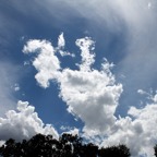 Bob-September-017.jpg