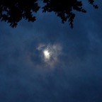 Bob-September-018.jpg
