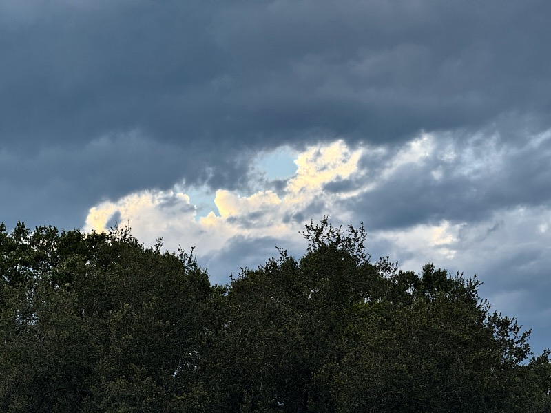 David-September-047.jpg