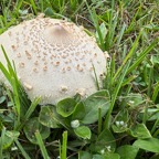 Pat-September-010.jpg
