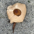 Pat-September-011.jpg