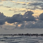 Ron-September-012.jpg