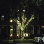 Bob-December-016.jpg