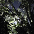 Bob-December-019.jpg