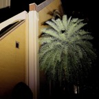 Bob-December-021.jpg