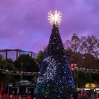Campbell-December-003.jpg