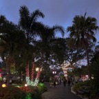 Campbell-December-005.jpg