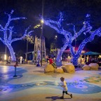 Campbell-December-010.jpg