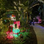 Campbell-December-028.jpg