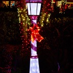 David-December-026.jpg