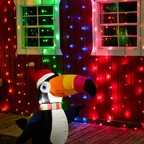 David-December-040.jpg