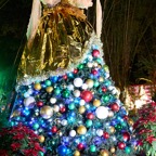 David-December-057.jpg