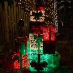 David-December-061.jpg