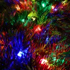 David-December-065.jpg