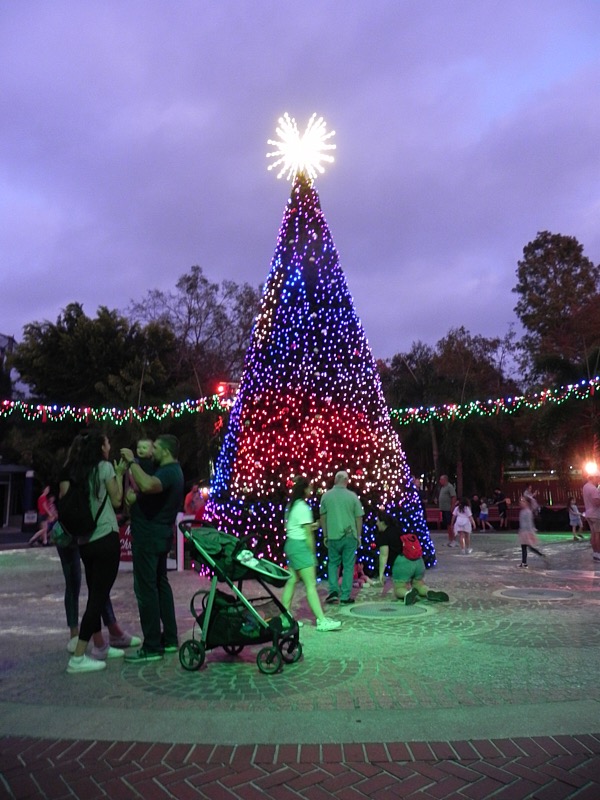 Marty-December-001.jpg