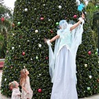 Marty-December-003.jpg