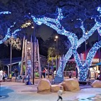 Marty-December-013.jpg