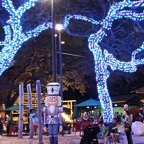 Marty-December-017.jpg