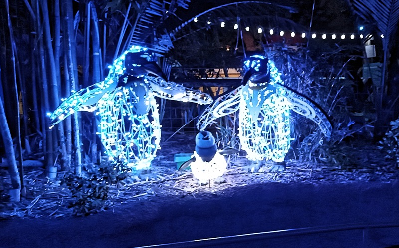 Marty-December-018.jpg