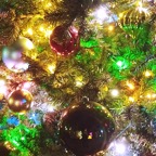 Marty-December-028.jpg