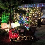 Marty-December-029.jpg