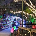 Marty-December-030.jpg