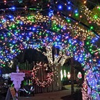 Marty-December-031.jpg