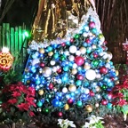 Marty-December-034.jpg