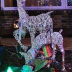 Pat-December-024.jpg