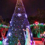 Pat-December-026.jpg