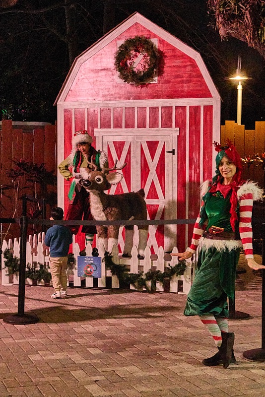 Pat-December-048.jpg