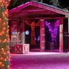 Pat-December-050.jpg