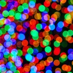 Pat-December-056.jpg